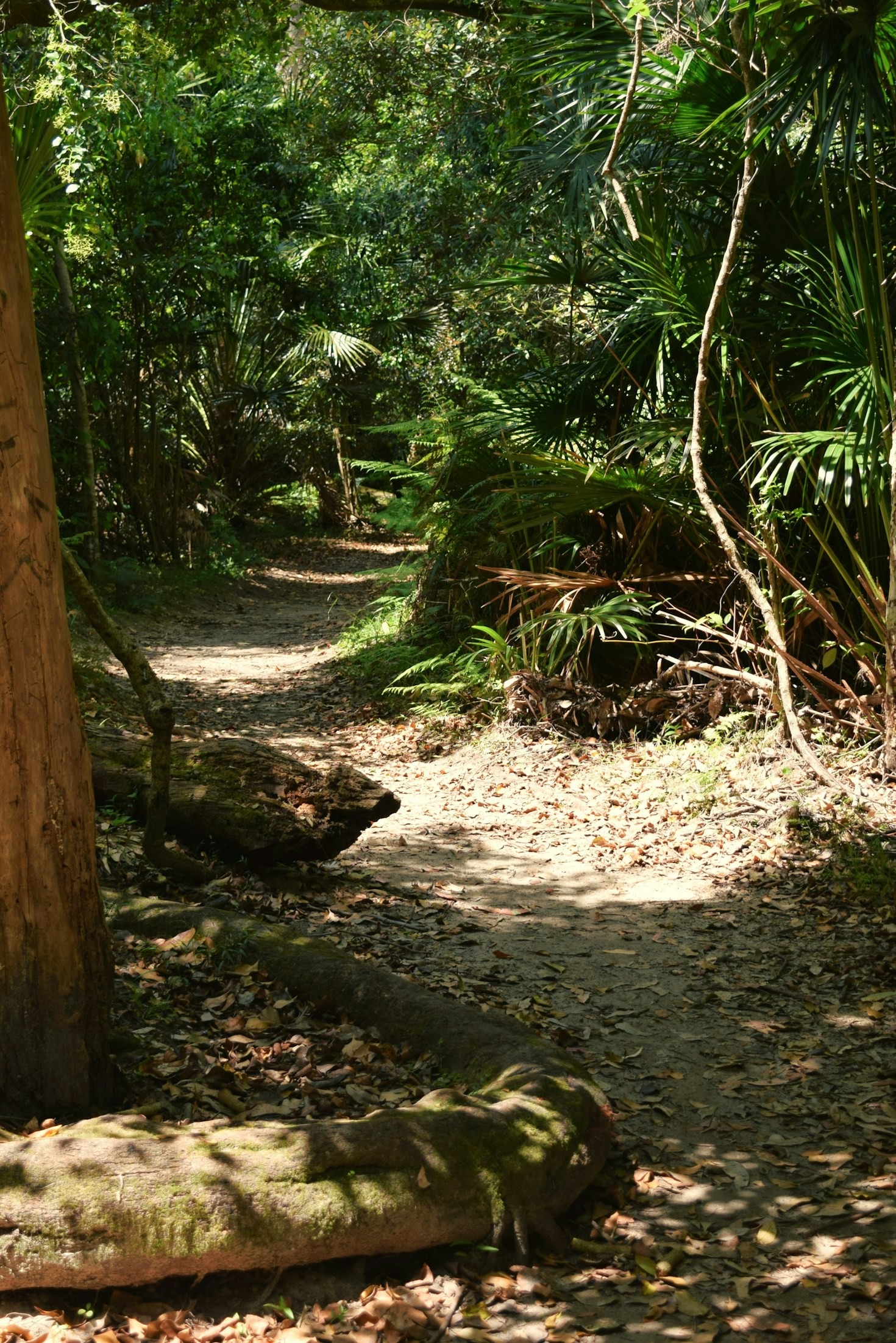 Educação Ambiental: A Base para a Sustentabilidade