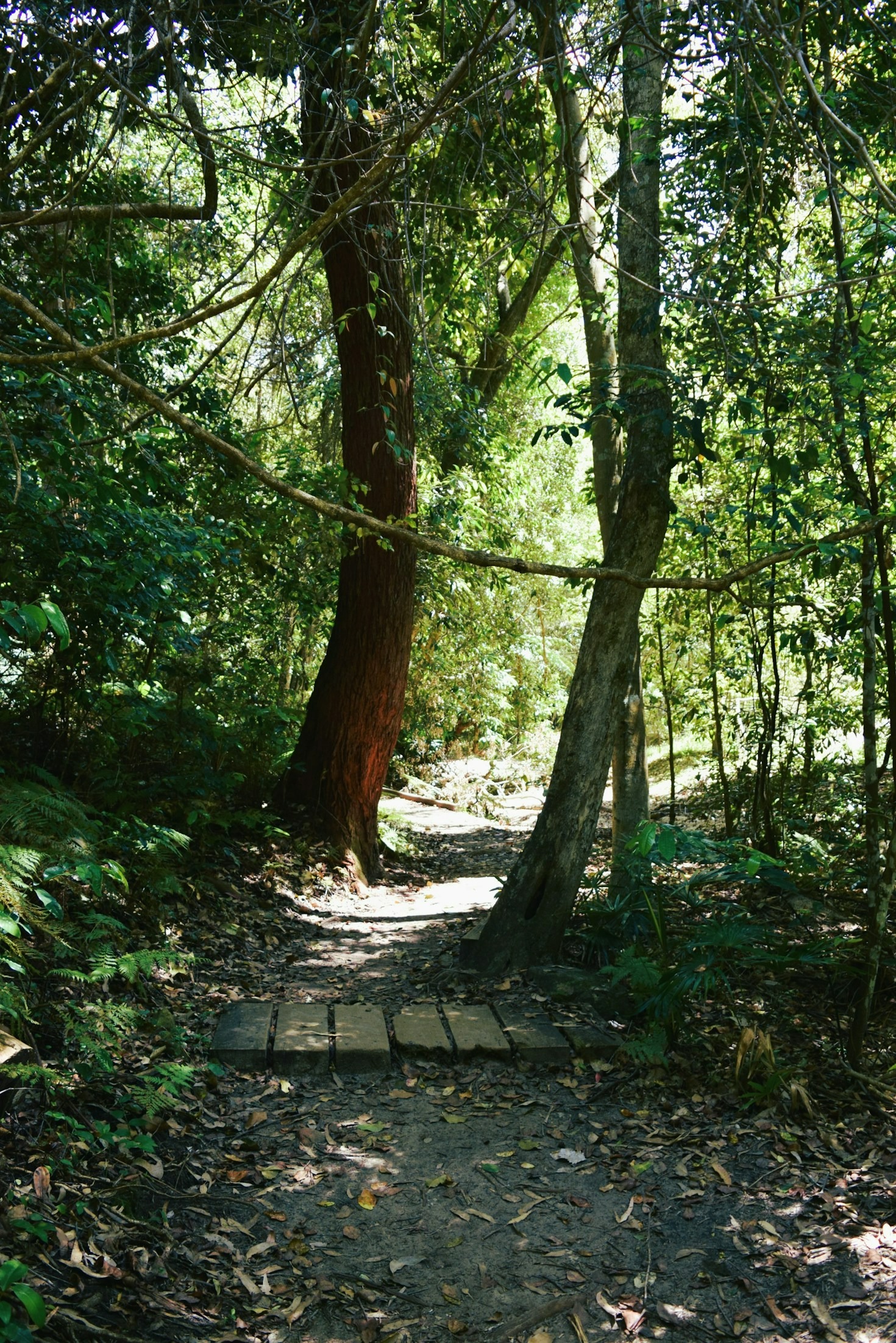Comunidades Unidas pela Conservação da Natureza